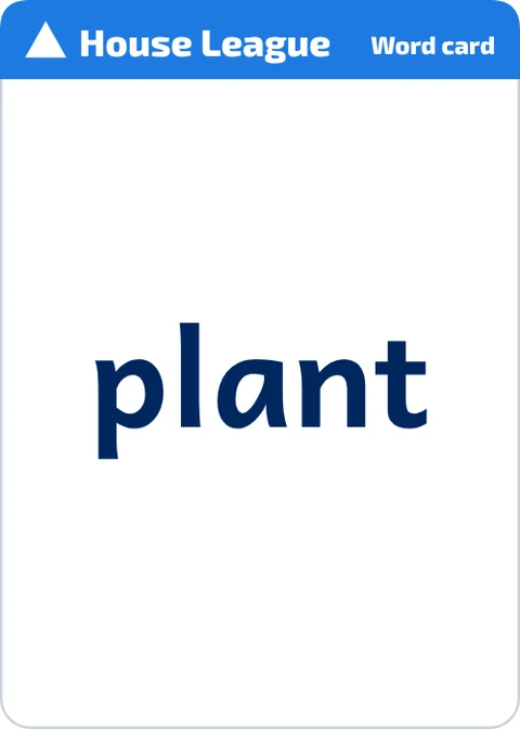 Stick Tap Words word card for plant, word side